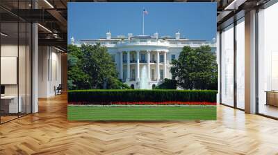 The White House in Washington DC Wall mural