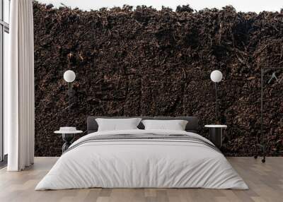 Soil or dirt section isolated on white background Wall mural