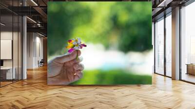 woman hand hold flowers on green natural background Wall mural