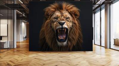 An angry lion with an open mouth. expression of anger. Portrait of a big male lion with open mouth on a dark background. Wall mural