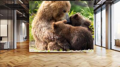 Ruling the landscape, brown bears of Kamchatka (Ursus arctos beringianus) Wall mural