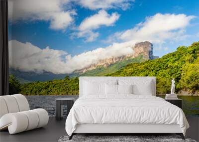 Scenic view of Canaima National Park Mountains and Canyons in Venezuela Wall mural