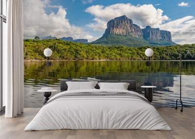 Scenic view of Canaima National Park Mountains and Canyons in Venezuela Wall mural