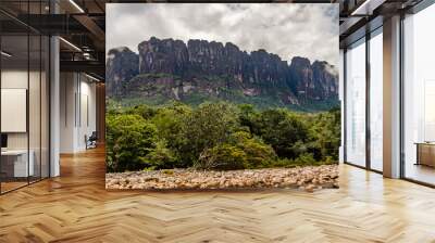 Scenic view of Canaima National Park Mountains and Canyons in Venezuela Wall mural