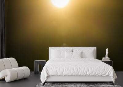 Abstract Natural Sun flare on the black Wall mural