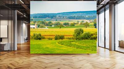 Amish country farm barn field agriculture in Lancaster, PA US Wall mural