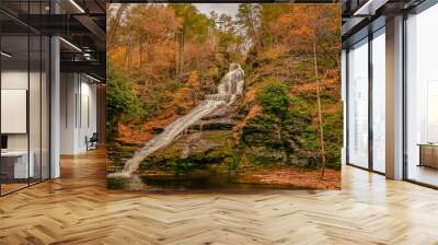 Dingmans Falls waterfall in the Poconos Mountains , Pennsylvania US. Wall mural