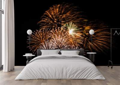 Multiple fireworks against the deep black sky. Bright  display of the fireworks Wall mural