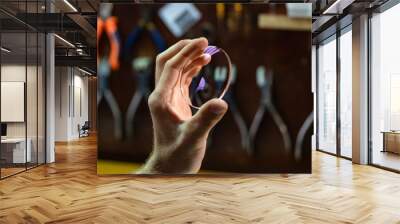 ophthalmologist hands close up, showing a glass lens for spectacles. Blurred background. Ophtalmologist equipment. Vision correction concept. Wall mural