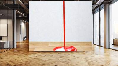 A red mop in a bucket Wall mural