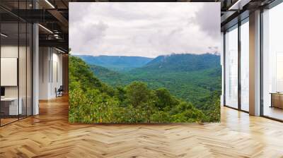 Scenic view from Baughman Rock Overlook.Ohiopyle State Park.Pennsylvania.USA Wall mural