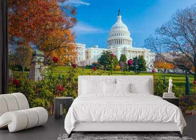 US Capitol building framed by roses and trees.Washington DC.USA Wall mural