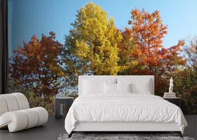 yellow tree in autumn Wall mural