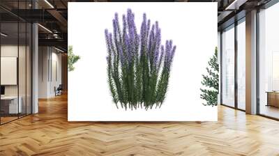 bush isolated on white background, 3D illustration, cg render Wall mural