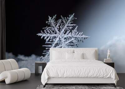 natural snowflakes on snow, winter Wall mural