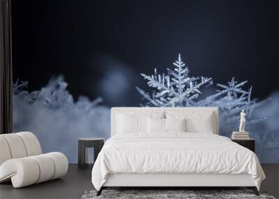 photo real snowflakes during a snowfall, under natural conditions at low temperature Wall mural