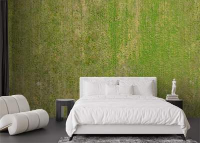 texture of green grass on the lawn, seamless Wall mural