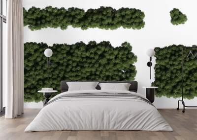 trees in the forest, top view, area view, isolated on transparent background, 3D illustration, cg render
 Wall mural