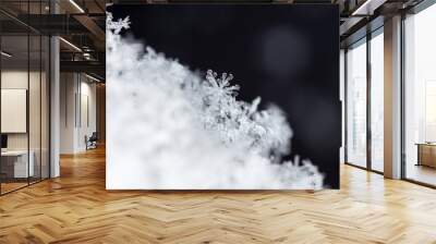 winter card, crystals of snow, winter photo Wall mural