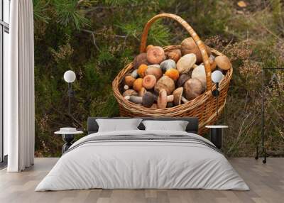 A wicker basket full of fresh autumn mushrooms. Wall mural