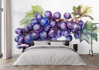 A detailed depiction of fresh purple grapes with green leaves resting against a white background Wall mural