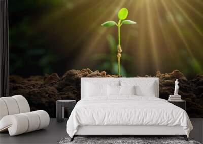 Green seedling in cross shape growing from fertile soil illuminated by rays of light. Symbolizing new life and growth. Small plant emerges from earthy ground, surrounded by lush greenery. Wall mural