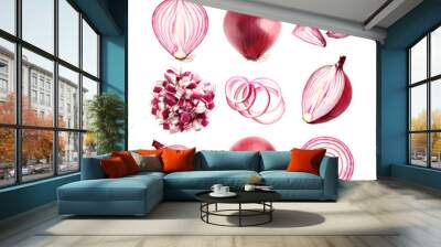 Set of fresh red onion isolated on transparent background, PNG. Wall mural