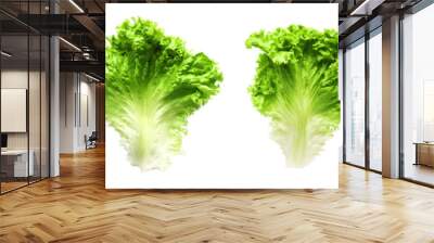 Set of lettuce leaves isolated on transparent png Wall mural