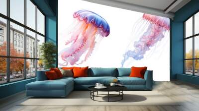 A series of colorful jellyfish are shown in the air Set of png elements. Wall mural