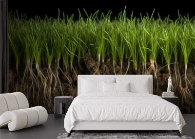 Healthy grass in soil pattern. AI generated. Wall mural