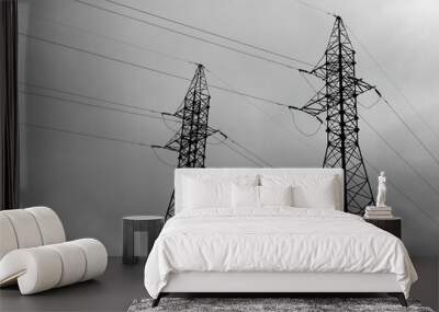 power lines wires insulators cloudy day Wall mural