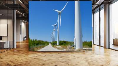 wind energy turbines and wind farm Wall mural