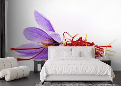 Saffron (Crocus sativus) flowers and spice dried Wall mural