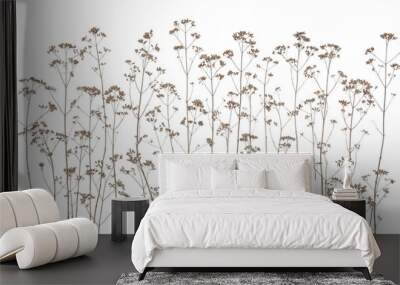 Dry field flowers isolated on white background. Dry wild meadow grasses or herbs. Wall mural