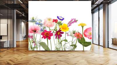 Flowering garden flowers isolated on white background. Studio shot of colorful different flowers. Wall mural