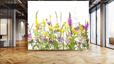 Flowering wild grass and herbs isolated on white background. Border of meadow flowers wildflowers and plants.. Wall mural