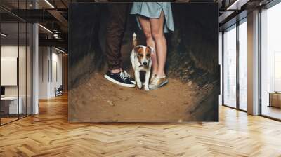 jack russell dog with owner and leather leash ready to go for a walk or walkies , outdoors outside at the park or river Wall mural