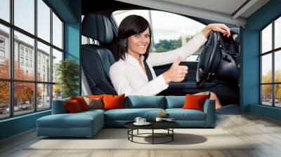 driving girl Wall mural