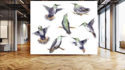 Watercolor Humming Bird Set Wall mural