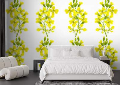 Seamless background of flower and leaves mustard. Vector illustration. Wall mural