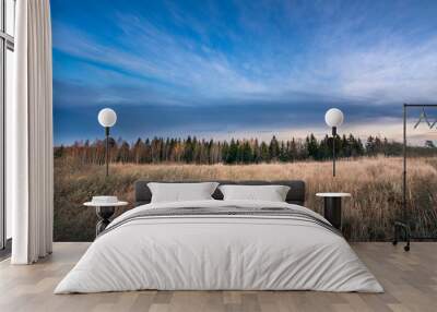 Tall grass field with forest and blue sky background during autumn. Wall mural