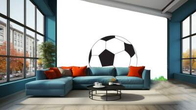 calcio Wall mural