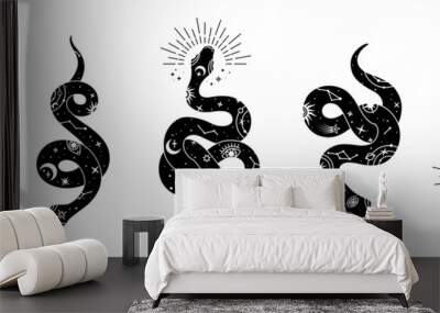 Vector snake set of mystical magic objects- moon, eyes, constellations, sun and stars. Spiritual occultism symbols, esoteric objects. Wall mural