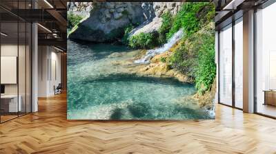 Waterfall with green water pond, Las Fuentes del Algar, Alicante, Spain Wall mural