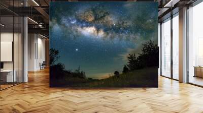 A breathtaking night sky, dominated by the Milky Way galaxy, which stretches across the canvas Wall mural