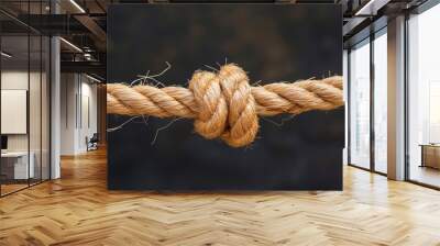 A frayed with a knot, Symbolizing challenges in business or relationships Wall mural