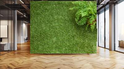 Flooring of artificial grass and a potted fern on it Wall mural