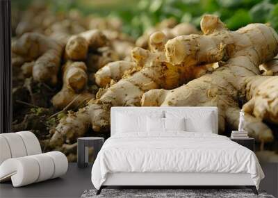 Freshly Harvested Ginger Roots in a Field Wall mural