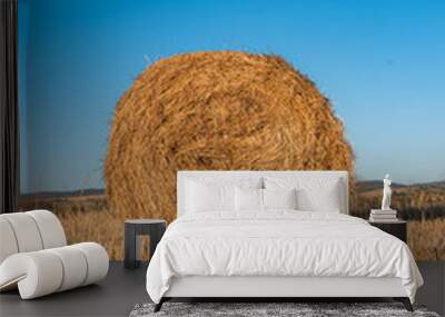 Hay straw field golden close-up beautiful summer rural sun landscape bulgaria perspective creative Wall mural