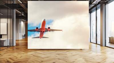 A large white passenger plane takes off. Cargo and passenger transportation. Flight to the summer resort. Clear blue sky. Airplane in the sky. Wall mural